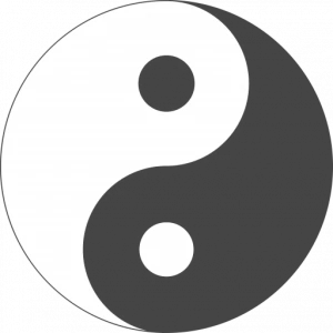 Logo YinYang Mireille Séjourné
